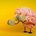 این ترکیب غذایی سبب تقویت مغز می‌شود