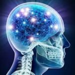 کندر، هوش و حافظه را زیاد می‌کند؟