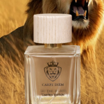 معمای ماندگاری عطر: آیا تنها قیمت عطر، طول عمر آن را تضمین می‌کند؟